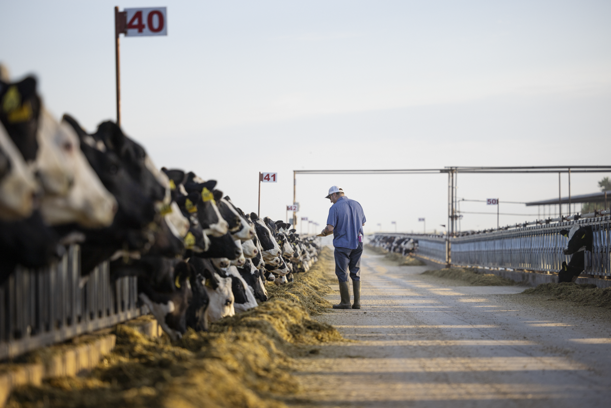 Land O’Lakes Bulks Up Its Protein Capacity
